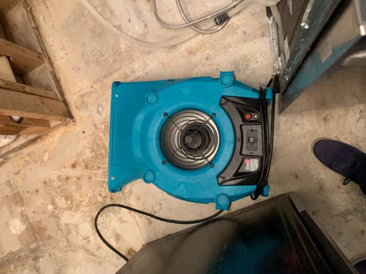 Air mover drying equipment for Mold Remediation & Removal in Tyler